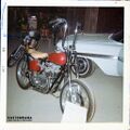 Photo by Ryde Brundin, courtesy of Maths Pålsson.